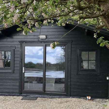 The Cosy Cabin By The Shore Galway Luaran gambar
