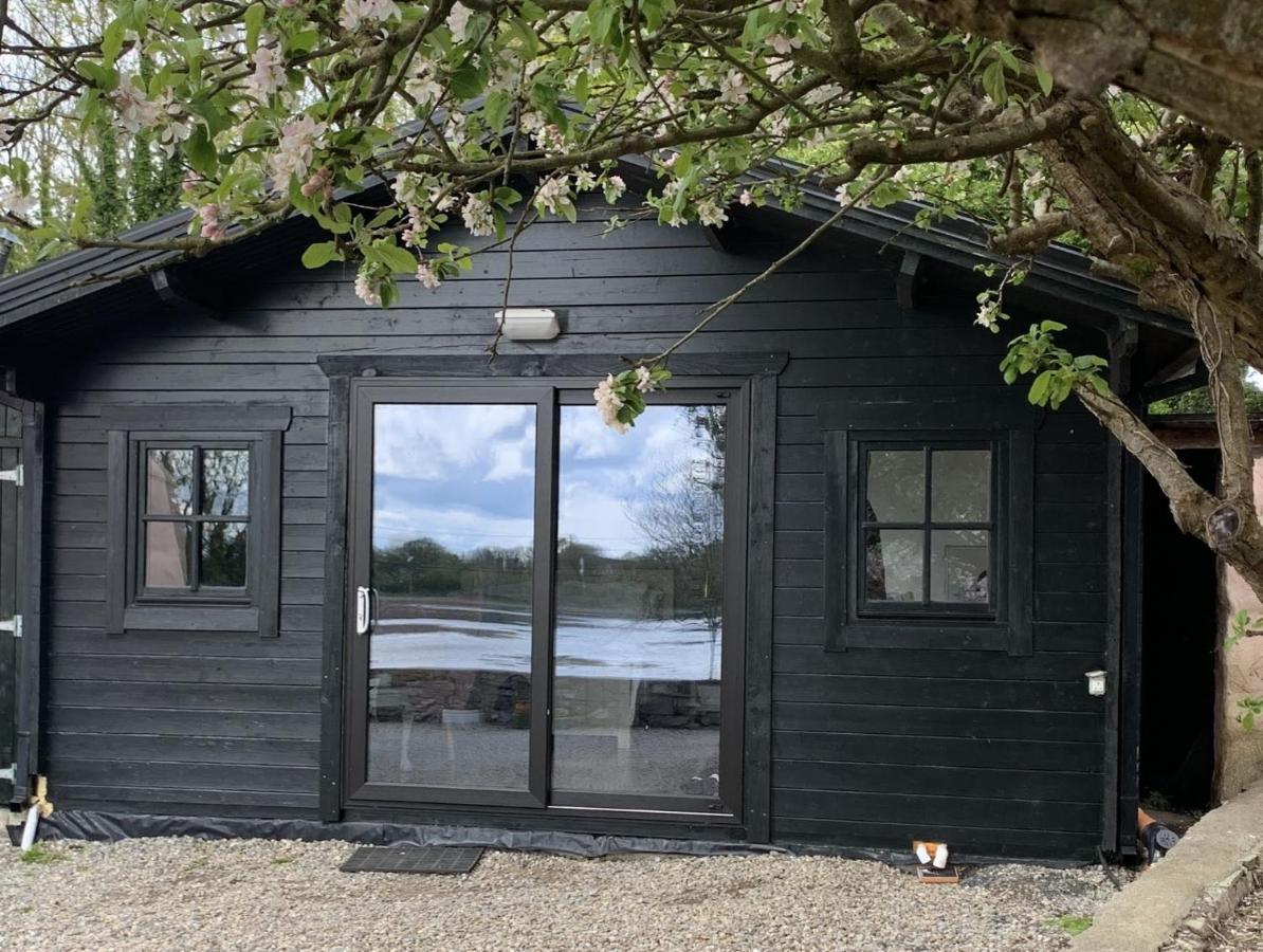 The Cosy Cabin By The Shore Galway Luaran gambar
